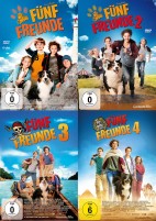 Fünf Freunde 1-4 Set (DVD) 