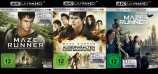 Maze Runner 1-3 Trilogie: Die Auserwählten im Labyrinth + ...in der Brandwüste + ...in der Todeszone – Set – 4K Ultra HD Blu-ray + Blu-ray (4K Ultra HD) 