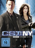 CSI: NY - Season 6 / Episoden 01-11 (DVD) 