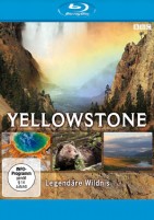 Yellowstone (Blu-ray) 