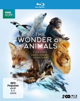 The Wonder of Animals - Tierische Überlebenskünstler (Blu-ray) 