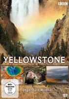 Yellowstone (DVD) 