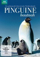 Pinguine Hautnah (DVD) 