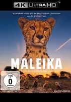 Maleika - 4K Ultra HD Blu-ray + Blu-ray (4K Ultra HD) 