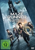 Maze Runner: Die Auserwählten in der Todeszone (DVD) 