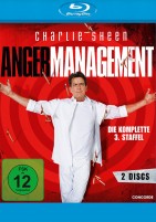Anger Management - Staffel 03 (Blu-ray) 