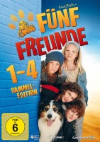 Fünf Freunde - 1-4 (DVD) 