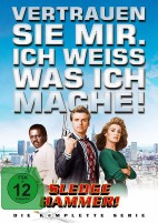 Sledge Hammer! - Die komplette Serie (DVD) 