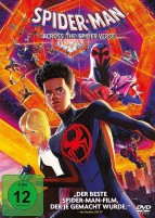 Spider-Man: Across the Spider-Verse (DVD) 