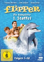 Flipper - Staffel 01 (DVD) 
