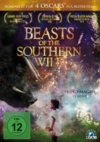 Beasts of the Southern Wild (DVD) 