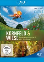 Kornfeld & Wiese - Entdeckungsreise durch eine Wunderwelt (Blu-ray) 
