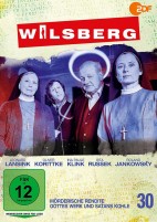 Wilsberg - Vol. 30 / Mörderische Rendite & Gottes Werk und Satans Kohle (DVD) 