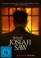 What Josiah Saw (DVD) 