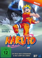 Naruto - Staffel 06 / Die Reise nach Otogakure & Das Curry des Lebens (DVD) 