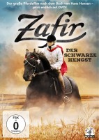 Zafir - Der schwarze Hengst (DVD) 