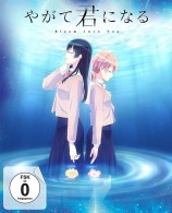 Bloom into You - Volume 3 / Episode 9-13 (DVD) 