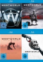 Westworld - Die kompletten Staffeln 1-4 im Set (Blu-ray) 