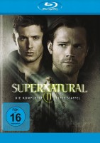 Supernatural - Season 11 (Blu-ray) 