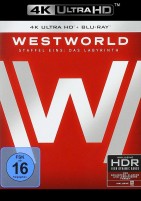 Westworld - Staffel 01 / Das Labyrinth / 4K Ultra HD Blu-ray + Blu-ray / 2. Auflage (4K Ultra HD) 