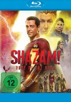 Shazam! Fury of the Gods (Blu-ray) 
