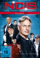 NCIS - Navy CIS - Season 12 (DVD) 