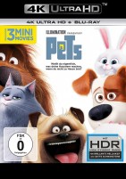 Pets - 4K Ultra HD Blu-ray + Blu-ray (4K Ultra HD) 