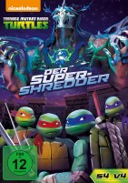 Teenage Mutant Ninja Turtles - Super Shredder (DVD) 