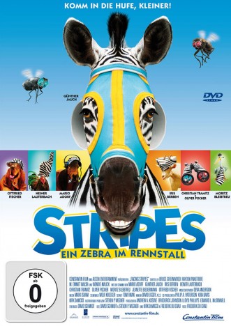 Stripes - Ein Zebra im Rennstall (DVD)