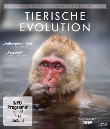 David Attenborough: Tierische Evolution (Blu-ray)