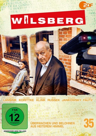 Wilsberg - Vol. 35 / Überwachen und belohnen & Aus heiterem Himmel (DVD)