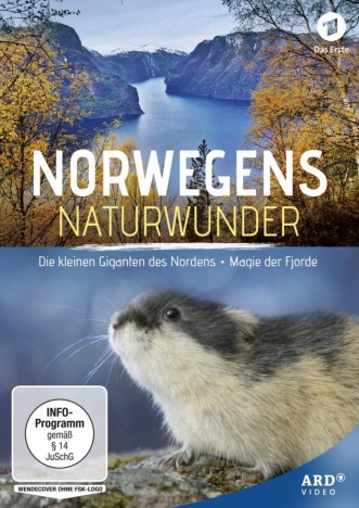 Norwegens Naturwunder: Die kleinen Giganten des Nordens & Magie der Fjorde (DVD)