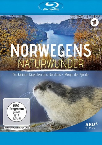 Norwegens Naturwunder: Die kleinen Giganten des Nordens & Magie der Fjorde (Blu-ray)