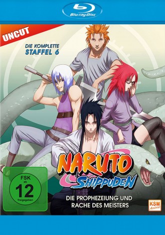Naruto Shippuden - Staffel 06 / Die Prophezeiung und Rache des Meisters (Blu-ray)