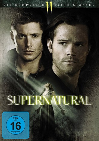 Supernatural - Season 11 (DVD)