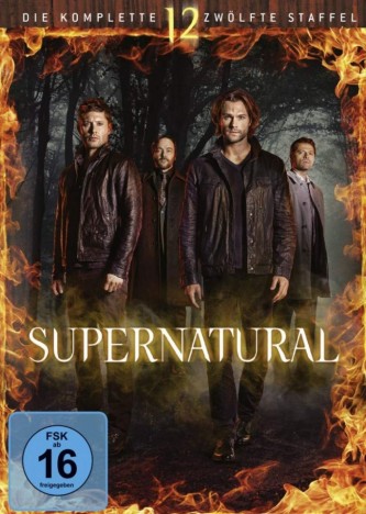 Supernatural - Season 12 (DVD)
