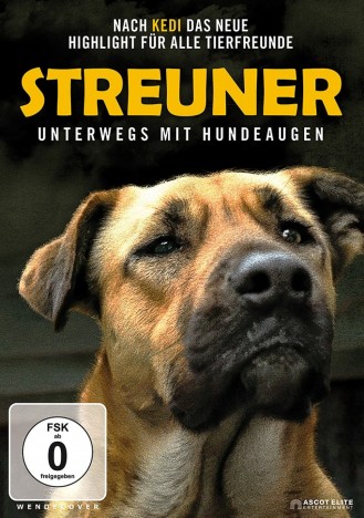 Streuner - Unterwegs mit Hundeaugen (DVD)