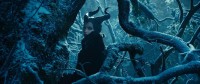 Maleficent - Die dunkle Fee - Ungekürzte Fassung / 4K Ultra HD Blu-ray + Blu-ray (4K Ultra HD)