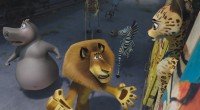 Madagascar 3 - Flucht durch Europa - Blu-ray 3D + 2D (Blu-ray)