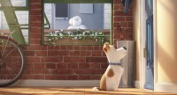 Pets - Limited Edition mit Plüschhund (DVD)